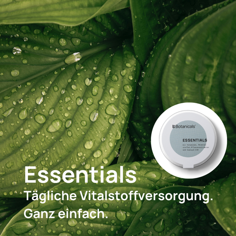 Essentials - Multinährstoffkomplex mit 21 Vitalstoffen