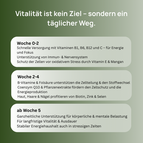 Essentials - Multinährstoffkomplex mit 21 Vitalstoffen