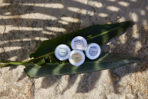 Botanicals jetzt bei Müller